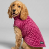 Skatrs Reversible VelvetJacket for Dogs and Cats (Maroon/Black) Both-Clothing & Accessories Skatrs
