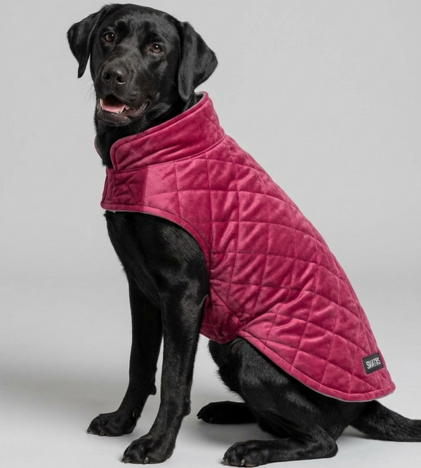 Skatrs Reversible Velvet Jacket for Dogs and Cats (Maroon/Black)