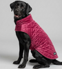 Skatrs Reversible VelvetJacket for Dogs and Cats (Maroon/Black) Both-Clothing & Accessories Skatrs XL: 32-35 in Chest