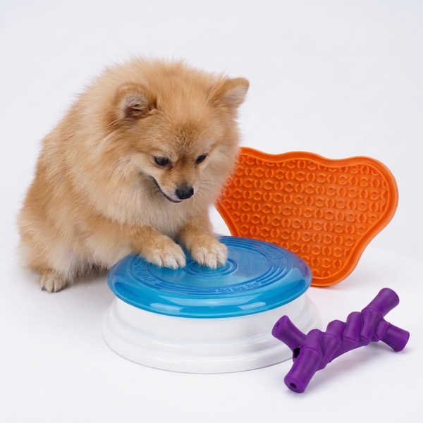 Skatrs Super Interactive Toy Combo for Dogs