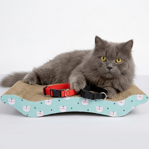 Skatrs Scratchy Time fun combo for Cats