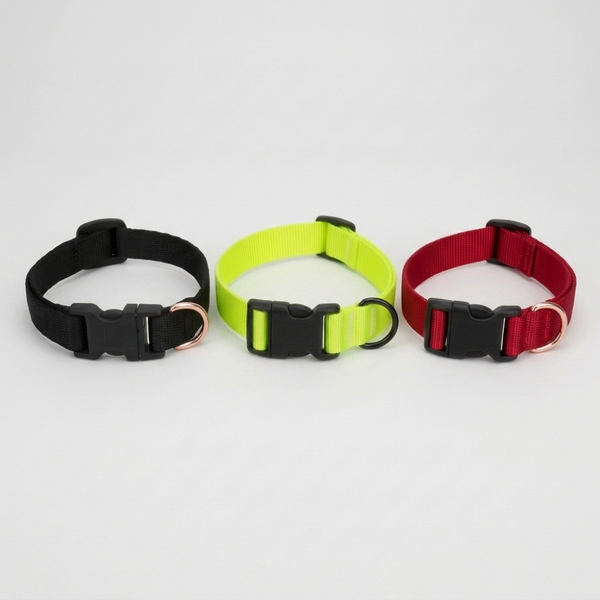 Skatrs Cat collar (Pack of 3 collars)