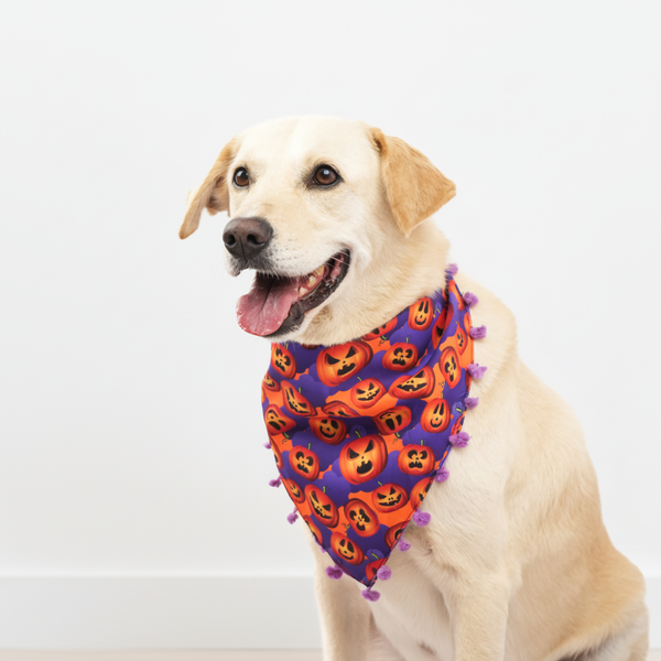 Skatrs Boo tiful Reversible Halloween Bandana for Dogs