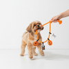 Skatrs Trick or Tug Rope Toy for Dogs Both-Toys Skatrs