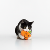 Skatrs Bootiful Pumpkin Plus Toy for Dogs Both-Toys Skatrs