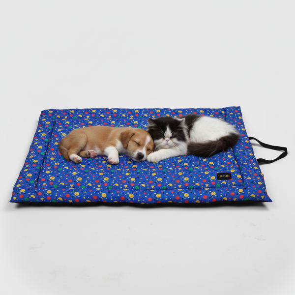 Skatrs Stellar Vibrant Space Mat for Dogs & Cats