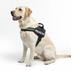 Skatrs Police K9 Harness for Dogs (Black) Both-Collar, Leashes, harnesses Skatrs L