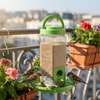 Skatrs Bird Feeder Birds Skatrs