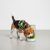 Skatrs Water Dispenser for Dogs and Cats Both-Bowls & Feeders Skatrs