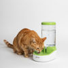 Skatrs Water Dispenser for Dogs and Cats Both-Bowls & Feeders Skatrs
