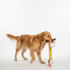 Skatrs Jolly Giraffe Plush for Dogs Both-Toys Skatrs 18x14cm