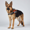 Skatrs Police K9 Harness for Dogs (Orange) Both-Collar, Leashes, harnesses Skatrs
