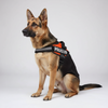 Skatrs Police K9 Harness for Dogs (Orange) Both-Collar, Leashes, harnesses Skatrs M