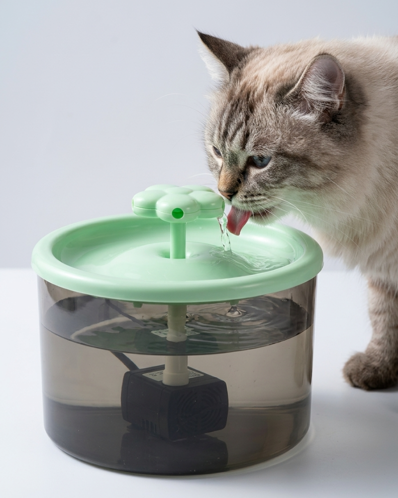 Skatrs Water Fountain for Dogs and Cats (Green) Both-Bowls & Feeders Skatrs 16x17x17cm