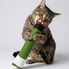 Skatrs Cig, Joint and Magic Mushroom Catnip Toys Combo for Cats