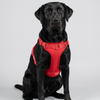 Skatrs Fully Padded Harness for Dogs (Ruby Red) Dogs-Collar, Leashes, harnesses Skatrs