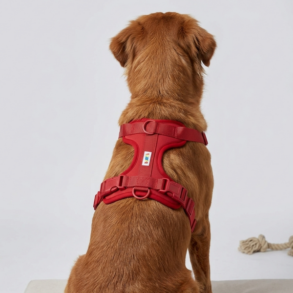 Skatrs Fully Padded Harness for Dogs (Ruby Red)