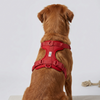 Skatrs Fully Padded Harness for Dogs (Ruby Red) Dogs-Collar, Leashes, harnesses Skatrs