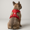 Skatrs Fully Padded Harness for Dogs (Ruby Red) Dogs-Collar, Leashes, harnesses Skatrs S