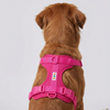Skatrs Fully Padded Harness for Dogs (Flamingo Pink) Dogs-Collar, Leashes, harnesses Skatrs S