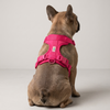 Skatrs Fully Padded Harness for Dogs (Flamingo Pink) Dogs-Collar, Leashes, harnesses Skatrs