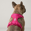 Skatrs Fully Padded Harness for Dogs (Flamingo Pink) Dogs-Collar, Leashes, harnesses Skatrs