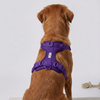 Skatrs Fully Padded Harness for Dogs (Cosmic Purple) Dogs-Collar, Leashes, harnesses Skatrs