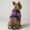Skatrs Fully Padded Harness for Dogs (Cosmic Purple) Dogs-Collar, Leashes, harnesses Skatrs S