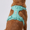 Skatrs Fully Padded Harness for Dogs (Aqua Teal) Dogs-Collar, Leashes, harnesses Skatrs