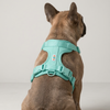 Skatrs Fully Padded Harness for Dogs (Aqua Teal) Dogs-Collar, Leashes, harnesses Skatrs