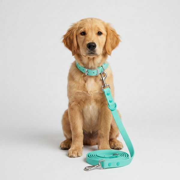 Skatrs 3 in 1 Adjustable Leash for Dogs (Aqua Teal)