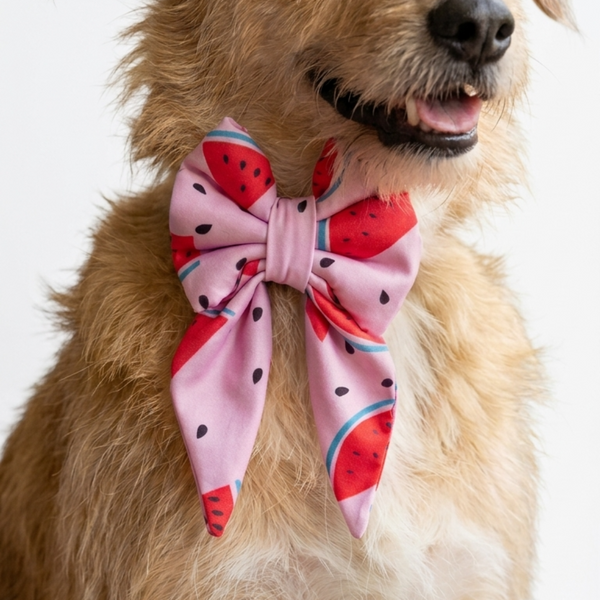 Skatrs Watermelon bowtie for Dogs and Cats