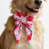 Skatrs Watermelon bowtie for Dogs and Cats Both-Clothing & Accessories Skatrs