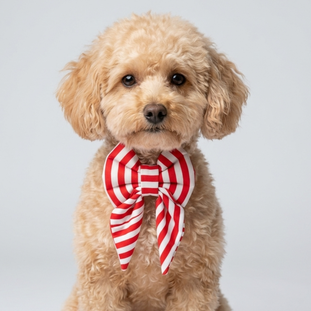Skatrs Sailor bowtie for Dogs and Cats Both-Clothing & Accessories Skatrs