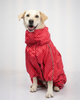 Skatrs Rain Ranger Raincoat for Dogs (Red) Dogs-Clothing & Accessories Skatrs S