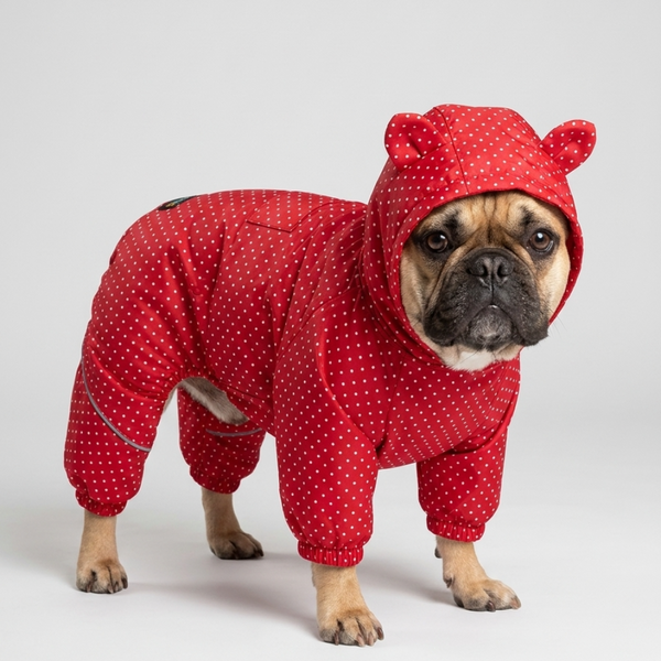 Skatrs Rain Ranger Raincoat for Dogs (Red)