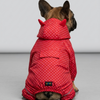 Skatrs Rain Ranger Raincoat for Dogs (Red) Dogs-Clothing & Accessories Skatrs