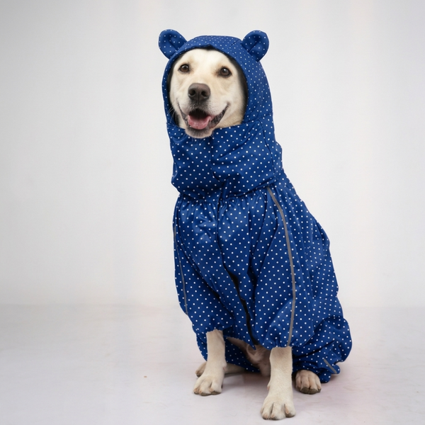 Skatrs Storm Chaser Raincoat for Dogs (Blue)