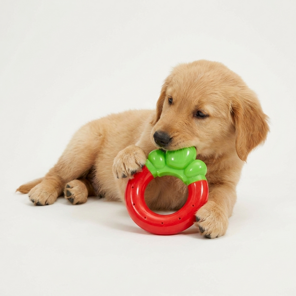 Skatrs Strawberry Ring Toy for Dogs