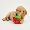 Skatrs Strawberry Ring Toy for Dogs Dogs-Toys Skatrs