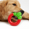 Skatrs Strawberry Ring Toy for Dogs Dogs-Toys Skatrs 6cm