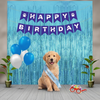 Skatrs Birthday hamper for Dogs and Cats (Blue) Both-Clothing & Accessories Skatrs pack of 1
