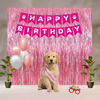 Skatrs Birthday Hamper for Dogs and Cats (Pink) Both-Clothing & Accessories Skatrs pack of 1