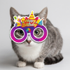 Skatrs Birthday Hamper for Dogs and Cats (Pink) Both-Clothing & Accessories Skatrs