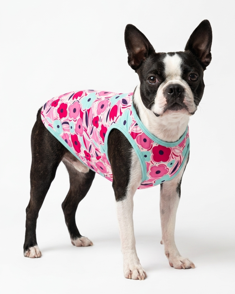 Skatrs Candy Bloom T-Shirt for Dogs and Cats Both-Clothing & Accessories Skatrs