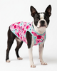 Skatrs Candy Bloom T-Shirt for Dogs and Cats Both-Clothing & Accessories Skatrs
