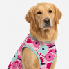Skatrs Candy Bloom T-Shirt for Dogs and Cats Both-Clothing & Accessories Skatrs