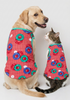 Skatrs Summer Float T-Shirt for Dogs and Cats Both-Clothing & Accessories Skatrs XS