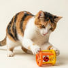 Skatrs Rattle Bell Toy for Cats Cats-Toys Skatrs