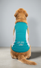 Skatrs Cooling Vest for Dogs (Blue) Dogs-Clothing & Accessories Skatrs